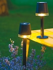 Solar-Stecker oder Solar-Tischlampe im aktuellen Netto mit dem Scottie Prospekt