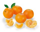 Angebot im REWE Landkern Prospekt REWE Landkern Prospekt mit  im Angebot für 1,79 €