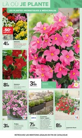 Fleurs en promo dans le catalogue Carrefour à la page 4