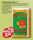 Blumenerde von Florgamin im aktuellen V-Markt Prospekt für 3,99 €