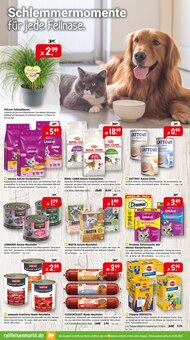 Katzenfutter im aktuellen Raiffeisenmarkt Prospekt (Koblenz) Katzenfutter im Raiffeisenmarkt Prospekt "Wir leben Nähe" mit 8 Seiten (Koblenz)