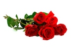 BOUQUET DE 5 ROSES TRÈS GROS BOUTONS - SANS MARQUE - Auchan Hypermarché BOUQUET DE 5 ROSES TRÈS GROS BOUTONS - SANS MARQUE à 3,99 € dans le catalogue Auchan Hypermarché