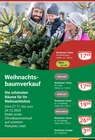Aktuelles Nordmann-Tanne Angebot bei GLOBUS in Offenbach (Main) ab 3,99 €