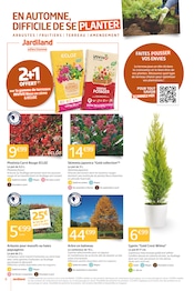 Photinia Angebote im Prospekt "LES 12J QUI SECOUENT VOTRE AUTOMNE" von Jardiland Photinia Angebote im Prospekt "LES 12J QUI SECOUENT VOTRE AUTOMNE" von Jardiland auf Seite 6