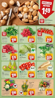 Pflanzen im REWE Prospekt "Dein Markt" mit 20 Seiten (Hannover)