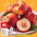 Nectarine à Netto dans Génelard Nectarine à Netto dans Génelard