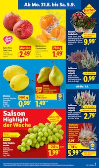 Kartoffeln Angebot im Lidl Prospekt, gültig von 31.08.2026 bis 05.09.2026 Kartoffeln Angebot im aktuellen Lidl Prospekt auf Seite 3