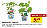 Angebot im toom Baumarkt Eckental Prospekt toom Baumarkt Eckental Prospekt mit im Angebot fĂŒr 5,49 âŹ