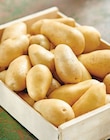 Promo Pommes de terre de consommation à 1,59 € dans le catalogue Intermarché Hyper à Rochefort