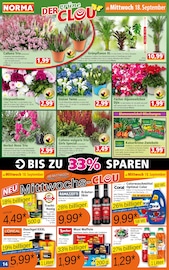 Aktueller Norma Prospekt mit Gartenpflanzen, "Mehr fürs Geld", Seite 14