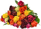 Rosen Rainbow Angebote von Fairtrade bei REWE Bensheim für 3,79 €