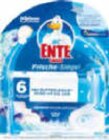 Frische-siegel im Angebot bei Netto Marken-Discount in Neunkirchen Frische-siegel Angebote von WC-Ente bei Netto Marken-Discount Neunkirchen für 1,99 €