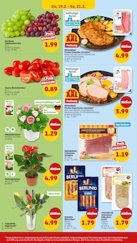 Blumen im Penny Prospekt "Wer günstig will, muss Penny." mit 38 Seiten (Potsdam)