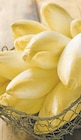 Promo Endive à 1,89 € dans le catalogue Intermarché à Crosne