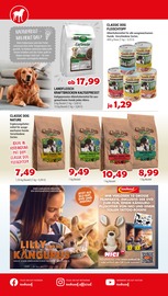 Aktueller Zookauf Prospekt mit Fleisch, "Alles für tierische Verwöhn-Momente", Seite 8