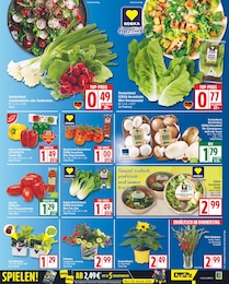 Paprika-Mix Angebot & Preis im aktuellen EDEKA Prospekt Paprika-Mix Angebot im aktuellen EDEKA Prospekt auf Seite 3