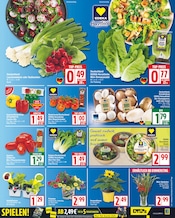 Ähnliches Angebot bei EDEKA in Prospekt "Aktuelle Angebote" gefunden auf Seite 3