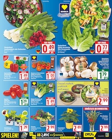 Gemüse im EDEKA Prospekt "Aktuelle Angebote" mit 18 Seiten (Potsdam)