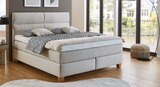 Boxspringbett im Angebot bei XXXLutz in Braunschweig Boxspringbett Angebote bei XXXLutz Braunschweig für 1.799,00 €