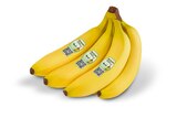 Bio-Bananen von NATURGUT für 1,69 € bei Penny-Markt im Angebot Bio-Bananen von NATURGUT im aktuellen Penny-Markt Prospekt