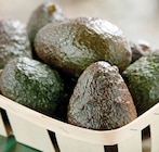 Promo Avocat Affiné à 2,25 € dans le catalogue Intermarché Contact à Salignac-Eyvigues