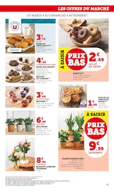 Plante Verte Angebote im Prospekt "Super U" von Super U Plante Verte Angebote im Prospekt "Super U" von Super U auf Seite 41