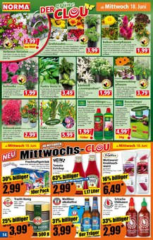 Honig Angebot im aktuellen Norma Prospekt auf Seite 15