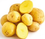 NETTO mit dem Scottie - Speisekartoffeln* Angebot im Prospekt Speisekartoffeln* bei NETTO mit dem Scottie im Prospekt Günstig. Besser. Für Dich. für 1,59 €