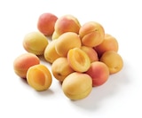 Lidl Pérenchies - Promo Abricot Promo Abricot à 2,49 € dans le catalogue Lidl à Pérenchies