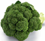 Brokkoli im Angebot bei Netto Marken-Discount in Halle Brokkoli Angebote von Markttag bei Netto Marken-Discount Halle für 1,49 €