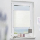 Lichtblick Plissee Angebote bei Lidl Dresden für 12,99 €