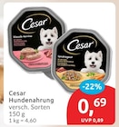 Hundenahrung Angebote von Cesar bei budni Buxtehude für 0,69 €