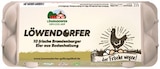 10er-Pack Bodenhaltung Eier Angebote von Löwendorfer bei Netto mit dem Scottie Halle für 1,59 €