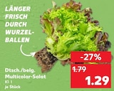 Dtsch./belg. Multicolor-Salat  im aktuellen Kaufland Prospekt für 1,29 €