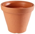 Klassisches Pflanzgefäß Angebote bei Penny Oldenburg für 3,99 €