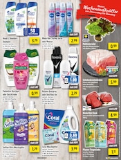Shampoo im EDEKA Prospekt in Gelsenkirchen Aktueller EDEKA Prospekt mit Shampoo, "Aktuelle Angebote", Seite 13