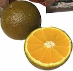 Spanien Orangen Chocolate-Orangen bei EDEKA im Tecklenburg Prospekt für 0,99 €