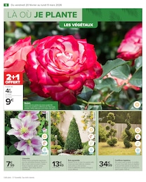 Offre Rosier dans le catalogue Carrefour du moment à la page 8