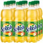 Apfelschorle von Splish im aktuellen Netto mit dem Scottie Prospekt