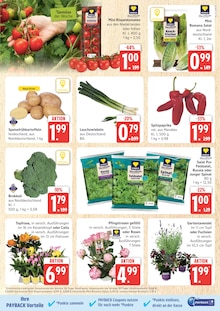 Kartoffeln Angebot im aktuellen Marktkauf Prospekt auf Seite 3