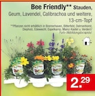 Bee Friendly von Bee Friendly für 2,29 € bei Zimmermann im Angebot Bee Friendly von Bee Friendly im aktuellen Zimmermann Prospekt
