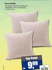 Scheidt Arnsberg - Kissenhülle Angebot im Prospekt Kissenhülle bei Scheidt im Arnsberg Prospekt für 9,99 €