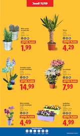 Jardinière Angebote im Prospekt "Le vrai prix des bonnes choses" von Lidl auf Seite 29