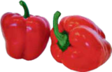 Paprika rot im aktuellen V-Markt Prospekt