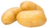 Aktuelles Speisekartoffeln Extra Dick Angebot bei REWE in Münster ab 1,49 €