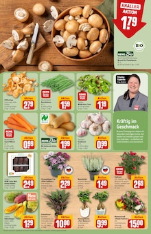 Pflanzen im REWE Prospekt "Dein Markt" mit 32 Seiten (Chemnitz)