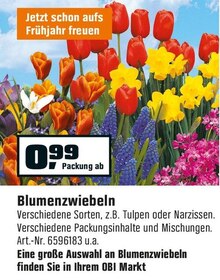 Blumenzwiebeln bei OBI in Gelsenkirchen Blumenzwiebeln im Angebot bei OBI Gelsenkirchen für 0,99 €