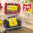 WEZ Rahden Prospekt mit  im Angebot für 2,99 €