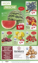 Aktueller combi Prospekt mit Tierfutter, "Markt - Angebote", Seite 2