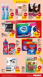Katzenfutter Angebot im aktuellen Penny Prospekt auf Seite 39